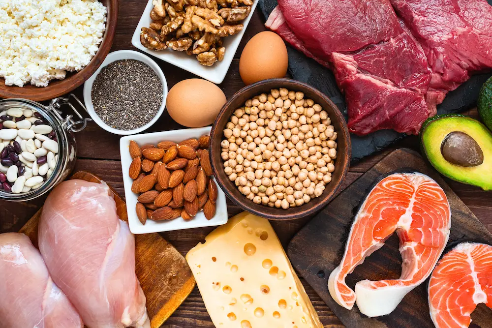 food sources for protein